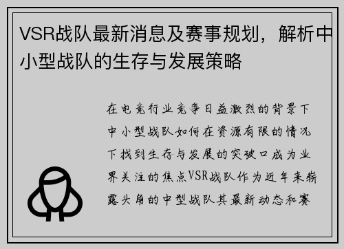 VSR战队最新消息及赛事规划，解析中小型战队的生存与发展策略