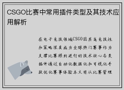 CSGO比赛中常用插件类型及其技术应用解析